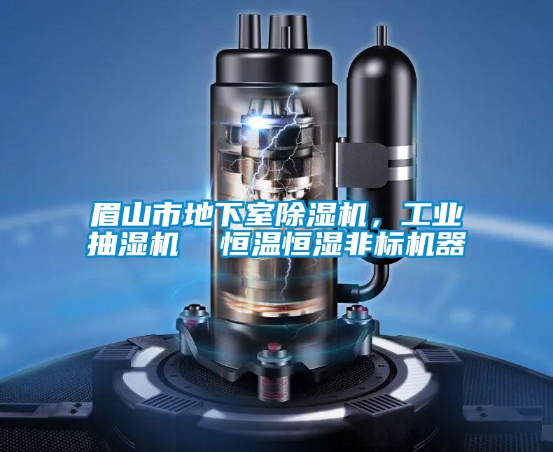 眉山市地下室除濕機,工業(yè)抽濕機 恒溫恒濕非標機器