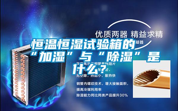 恒溫恒濕試驗箱的“加濕”與“除濕”是什么？