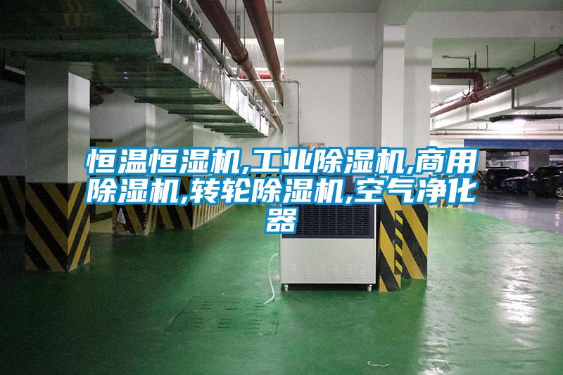 恒溫恒濕機,工業(yè)除濕機,商用除濕機,轉輪除濕機,空氣凈化器