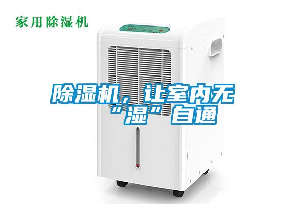 除濕機,讓室內無“濕”自通