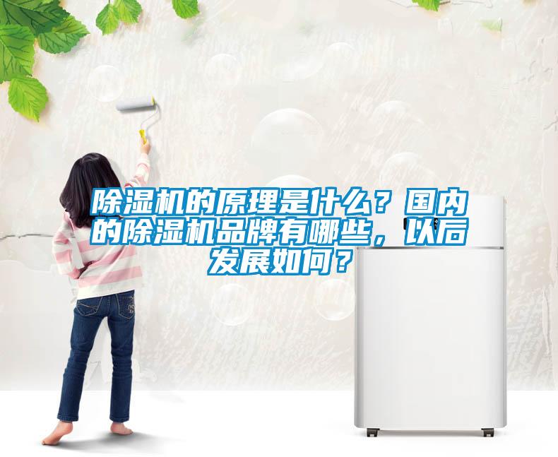 除濕機的原理是什么？國內的除濕機品牌有哪些，以后發展如何？