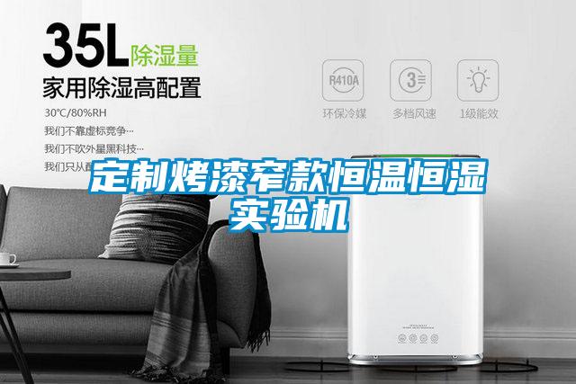 定制烤漆窄款恒溫恒濕實驗機(jī)