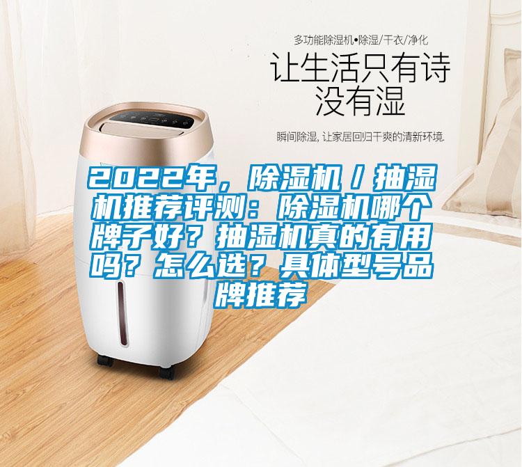 2022年，除濕機／抽濕機推薦評測：除濕機哪個牌子好？抽濕機真的有用嗎？怎么選？具體型號品牌推薦