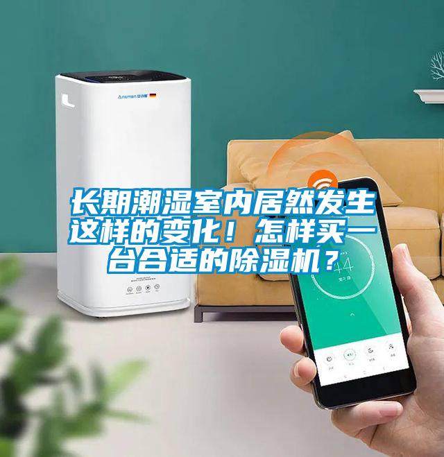 長期潮濕室內居然發生這樣的變化！怎樣買一臺合適的除濕機？