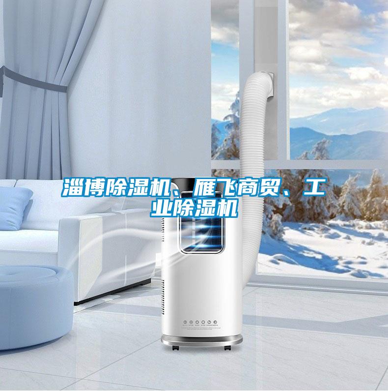 淄博除濕機(jī)、雁飛商貿(mào)、工業(yè)除濕機(jī)