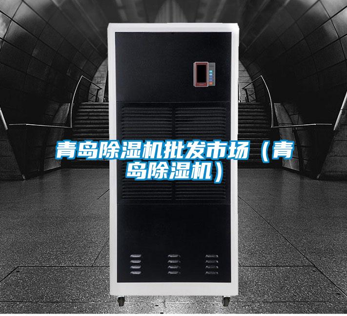 青島除濕機(jī)批發(fā)市場(青島除濕機(jī))
