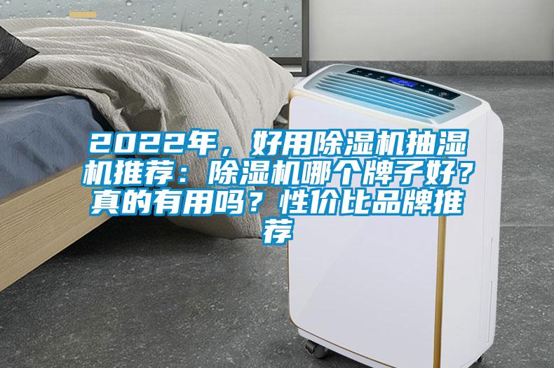 2022年，好用除濕機抽濕機推薦：除濕機哪個牌子好？真的有用嗎？性價比品牌推薦