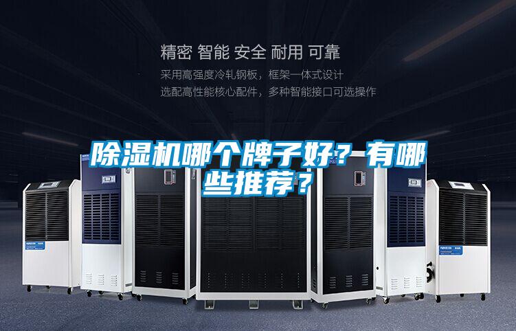 除濕機哪個牌子好？有哪些推薦？