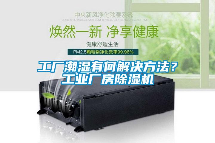工廠潮濕有何解決方法？工業廠房除濕機