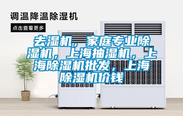 去濕機，家庭專業除濕機，上海抽濕機，上海除濕機批發，上海除濕機價錢