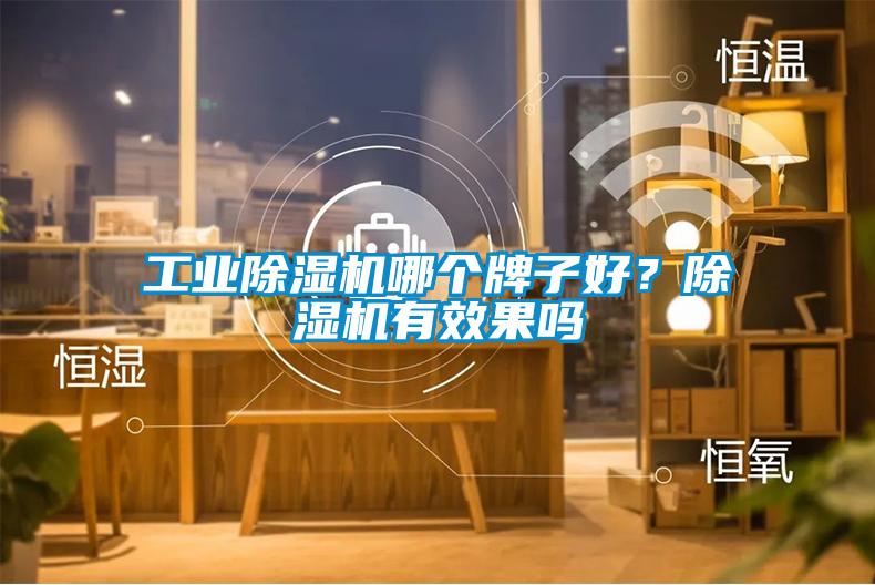工業除濕機哪個牌子好?除濕機有效果嗎