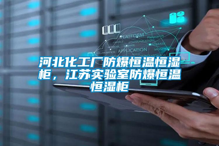 河北化工廠防爆恒溫恒濕柜,江蘇實驗室防爆恒溫恒濕柜
