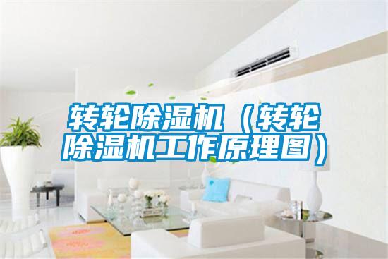 轉(zhuǎn)輪除濕機(jī)(轉(zhuǎn)輪除濕機(jī)工作原理圖)