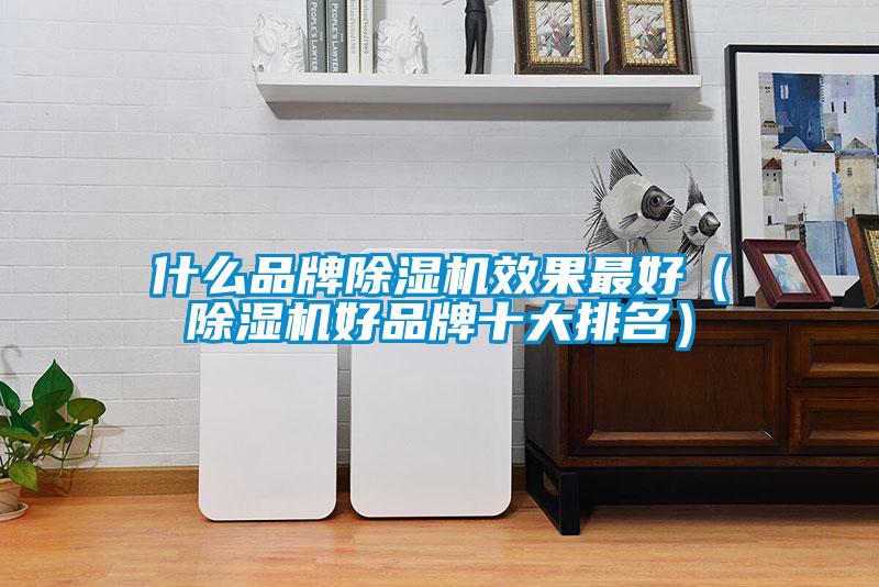 什么品牌除濕機(jī)效果最好(除濕機(jī)好品牌十大排名)