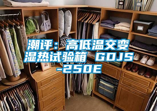 潮評:高低溫交變濕熱試驗(yàn)箱 GDJS-250E