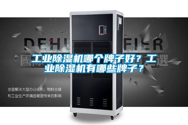 工業(yè)除濕機(jī)哪個(gè)牌子好？工業(yè)除濕機(jī)有哪些牌子？
