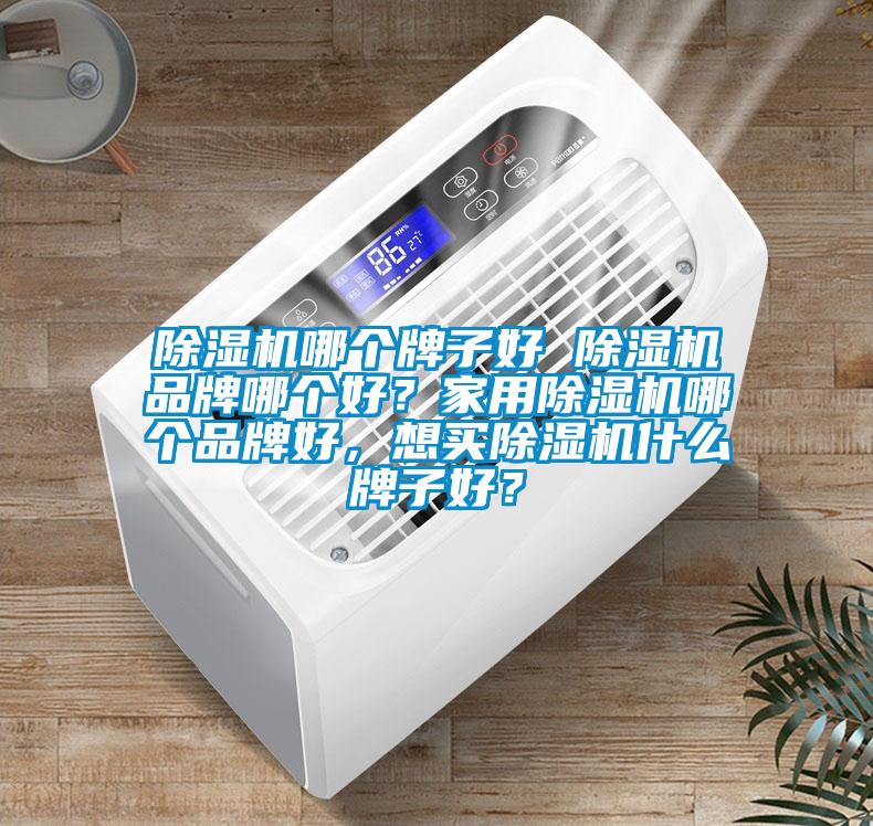 除濕機哪個牌子好 除濕機品牌哪個好？家用除濕機哪個品牌好，想買除濕機什么牌子好？