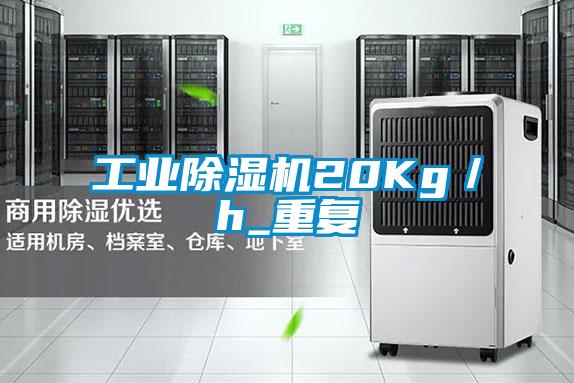工業(yè)除濕機20Kg/h_重復(fù)