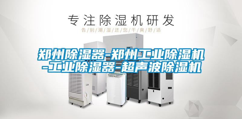 鄭州除濕器-鄭州工業(yè)除濕機-工業(yè)除濕器-超聲波除濕機