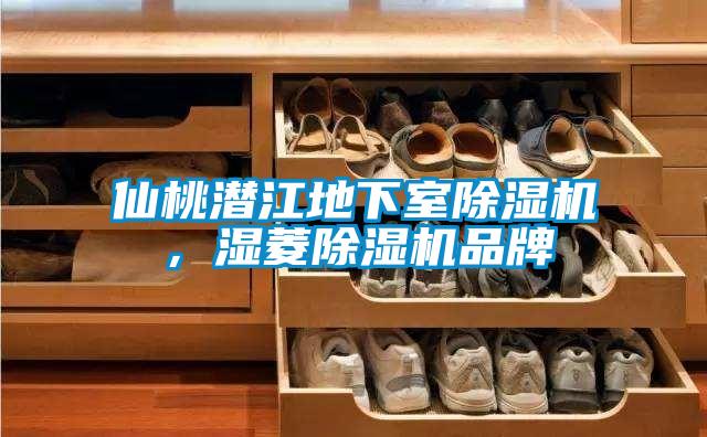 仙桃潛江地下室除濕機,濕菱除濕機品牌