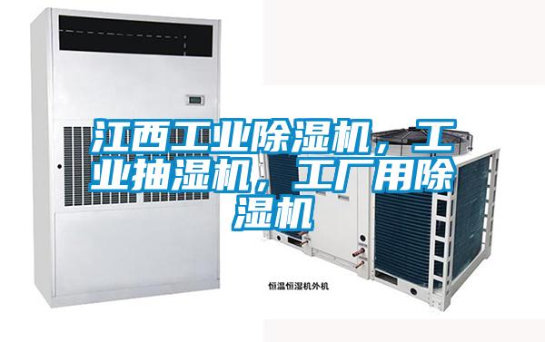 江西工業(yè)除濕機(jī),工業(yè)抽濕機(jī),工廠用除濕機(jī)