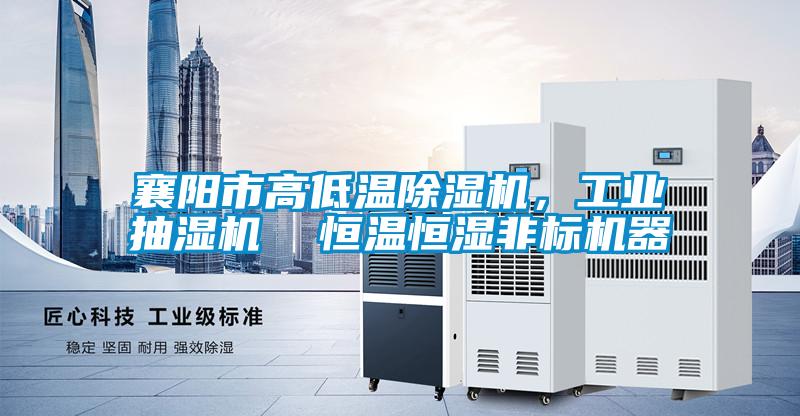 襄陽市高低溫除濕機,工業(yè)抽濕機 恒溫恒濕非標機器