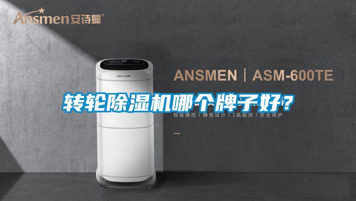 轉(zhuǎn)輪除濕機哪個牌子好?