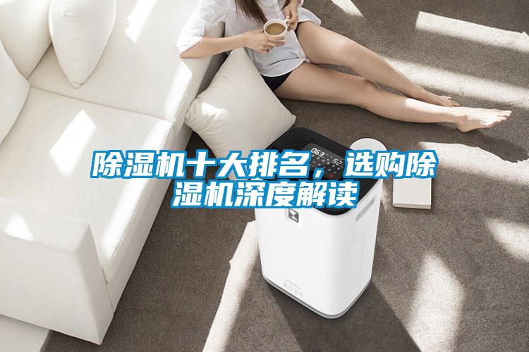 除濕機(jī)十大排名,選購(gòu)除濕機(jī)深度解讀
