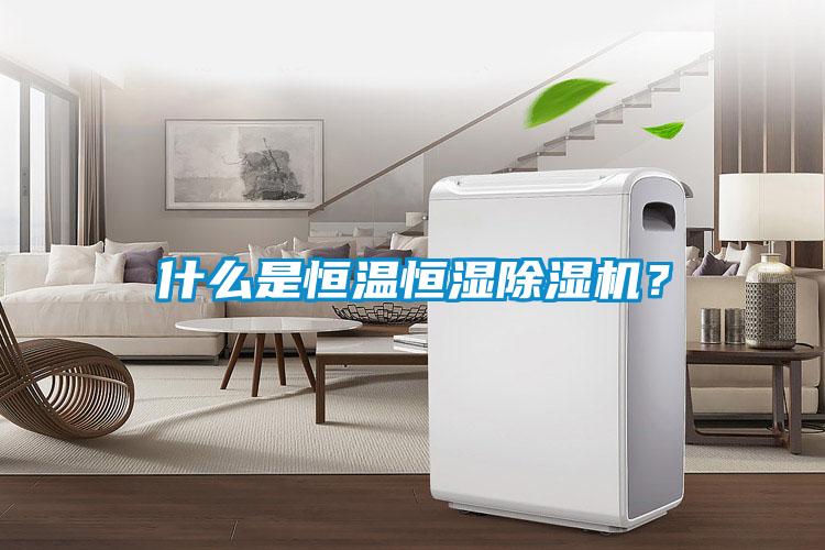什么是恒溫恒濕除濕機？