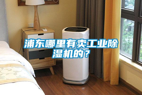 浦東哪里有賣(mài)工業(yè)除濕機(jī)的?