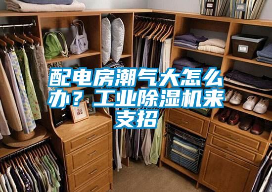 配電房潮氣大怎么辦?工業(yè)除濕機(jī)來(lái)支招