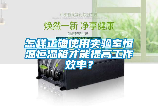 怎樣正確使用實驗室恒溫恒濕箱才能提高工作效率？