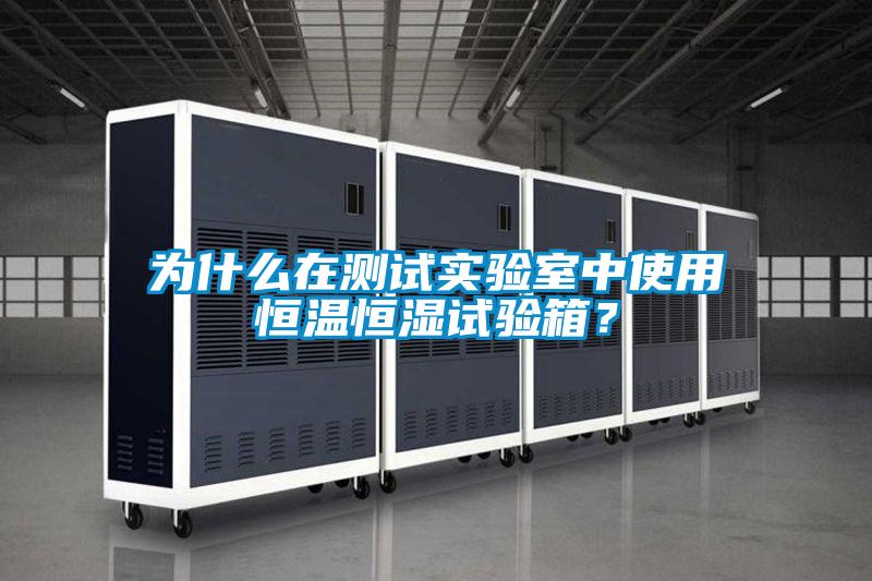為什么在測(cè)試實(shí)驗(yàn)室中使用恒溫恒濕試驗(yàn)箱?