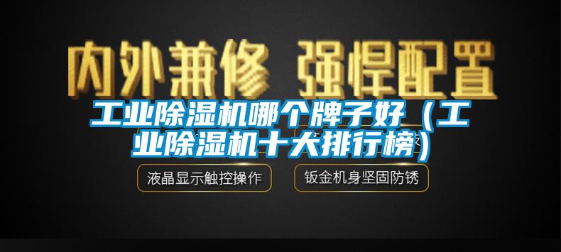 工業(yè)除濕機(jī)哪個(gè)牌子好(工業(yè)除濕機(jī)十大排行榜)
