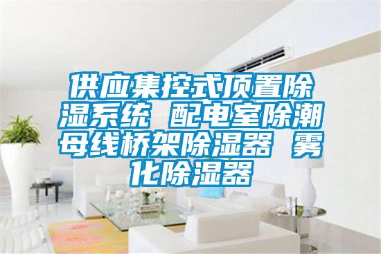 供應集控式頂置除濕系統(tǒng) 配電室除潮母線橋架除濕器 霧化除濕器