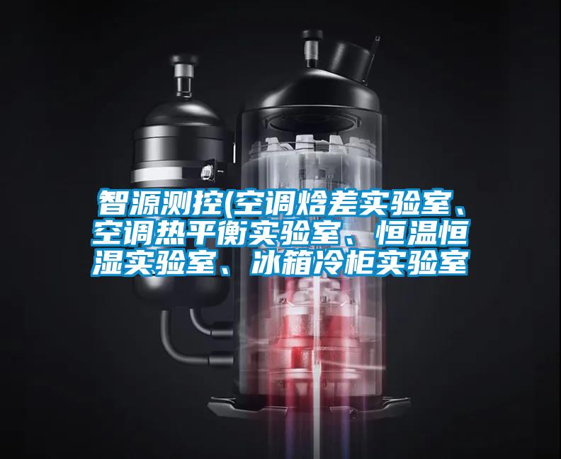 智源測控(空調焓差實驗室、空調熱平衡實驗室、恒溫恒濕實驗室、冰箱冷柜實驗室