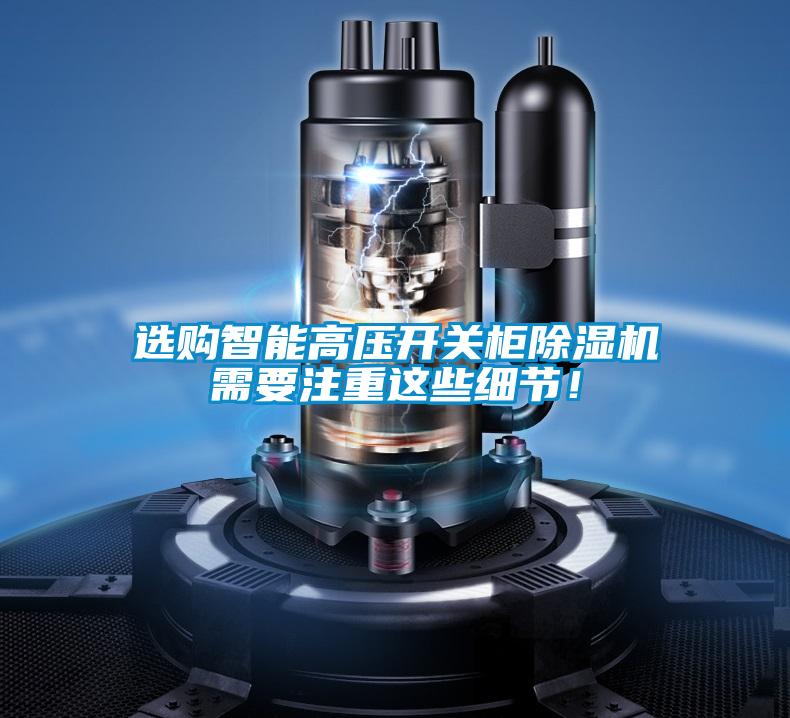 選購智能高壓開關(guān)柜除濕機(jī)需要注重這些細(xì)節(jié)!