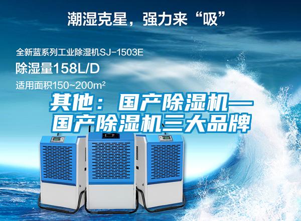 其他:國產(chǎn)除濕機—國產(chǎn)除濕機三大品牌