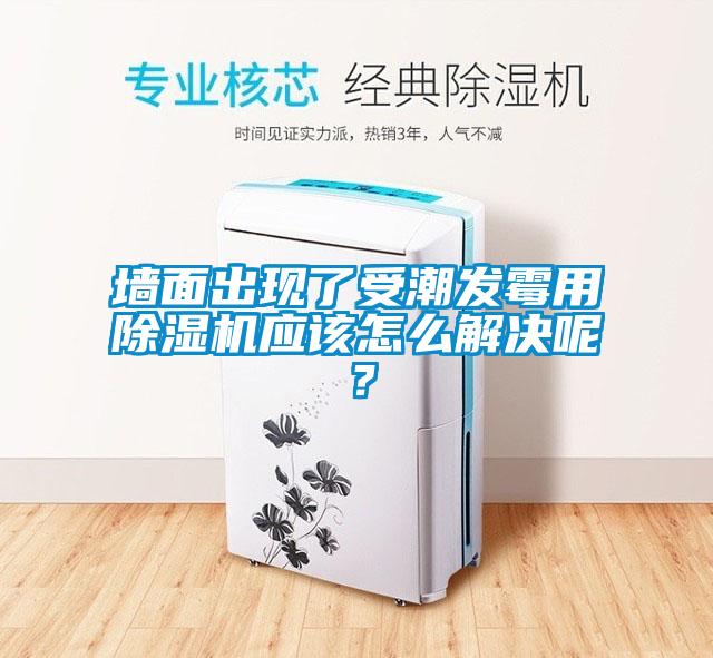 墻面出現了受潮發霉用除濕機應該怎么解決呢？