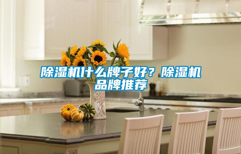 除濕機什么牌子好？除濕機品牌推薦