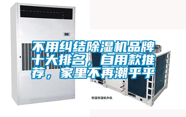 不用糾結除濕機品牌十大排名，自用款推薦，家里不再潮乎乎