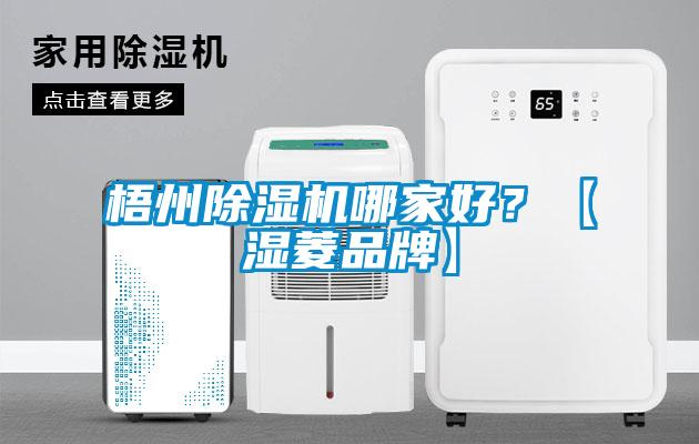 梧州除濕機哪家好？【濕菱品牌】