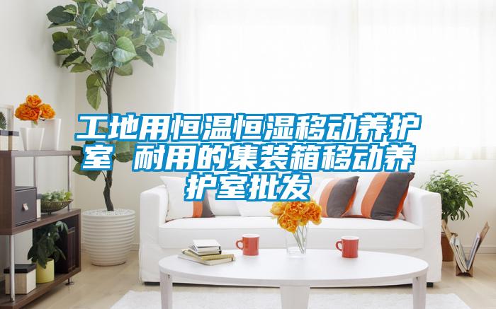 工地用恒溫恒濕移動(dòng)養(yǎng)護(hù)室 耐用的集裝箱移動(dòng)養(yǎng)護(hù)室批發(fā)