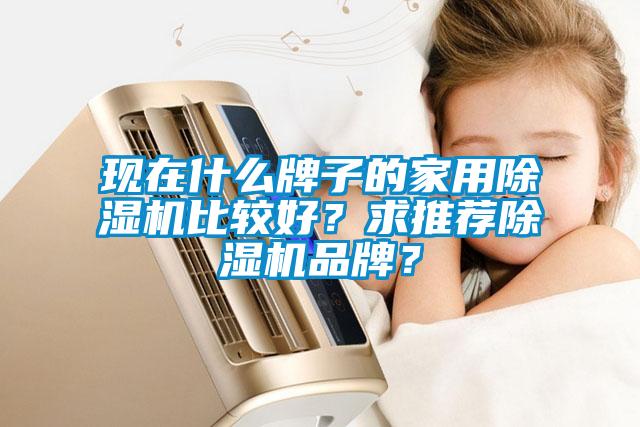 現在什么牌子的家用除濕機比較好？求推薦除濕機品牌？