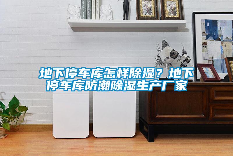 地下停車庫怎樣除濕？地下停車庫防潮除濕生產廠家