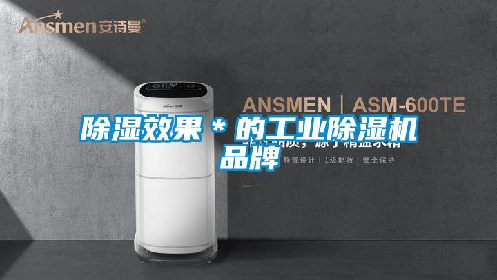 除濕效果*的工業(yè)除濕機品牌