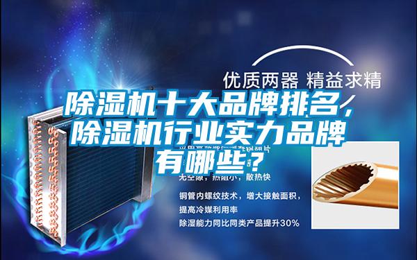 除濕機十大品牌排名，除濕機行業實力品牌有哪些？