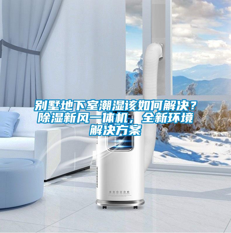 別墅地下室潮濕該如何解決？除濕新風一體機，全新環境解決方案