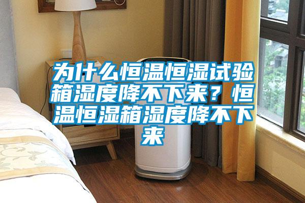 為什么恒溫恒濕試驗箱濕度降不下來?恒溫恒濕箱濕度降不下來