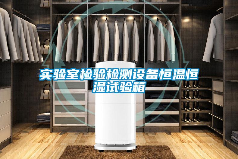 實(shí)驗(yàn)室檢驗(yàn)檢測設(shè)備恒溫恒濕試驗(yàn)箱